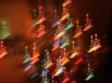 <B>Christmas Tree Lights</B>