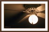 (*)Fan Light