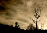 Winter Sky (*)