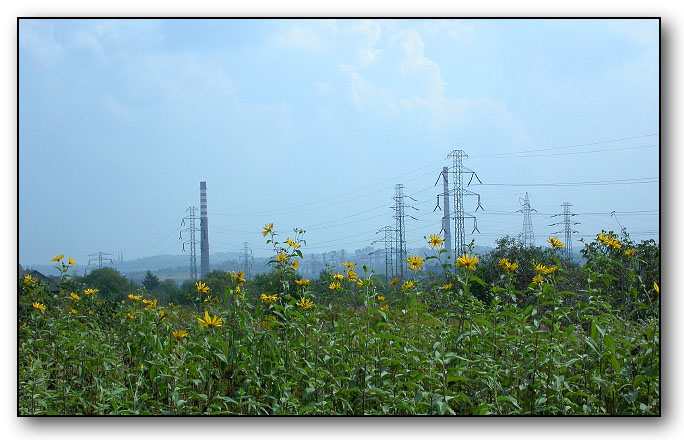 Power of The Nature*