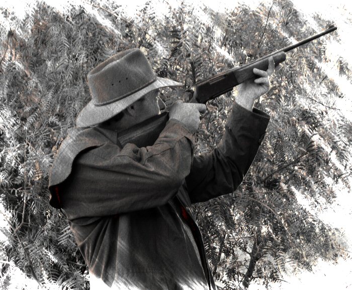 Swagman ( * )