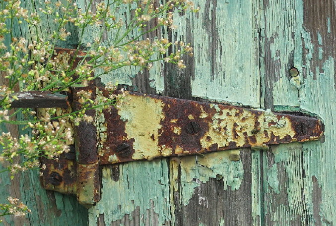 Hinge with fly *