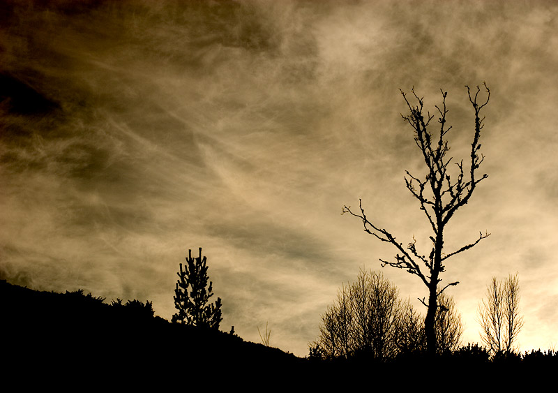 Winter Sky (*)