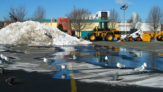 Waiting for the Next Snowstorm *