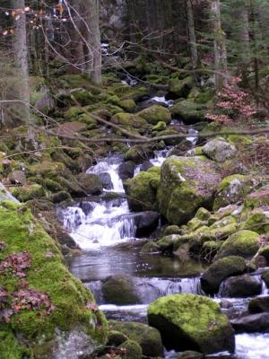 u37/cwright/medium/23899518.WaterfallinTriberg.jpg