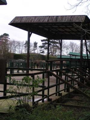 Howletts