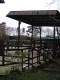 Howletts