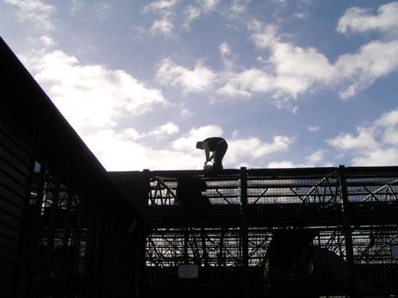 Keepers feeding gorillas
