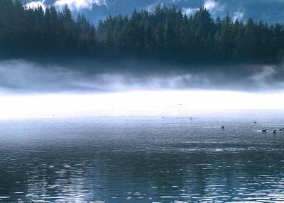 Fog Rising Lake Padden