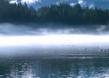Fog Rising Lake Padden