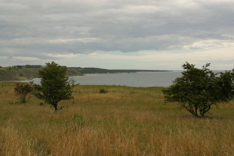 Coast