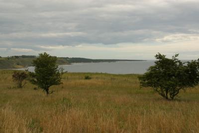 Coast