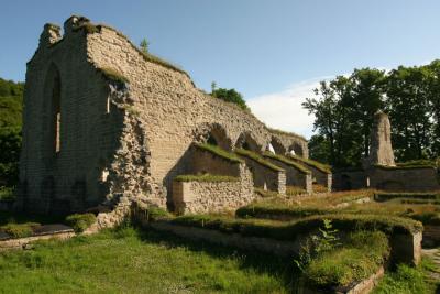 Alvastra - Abbey ruins