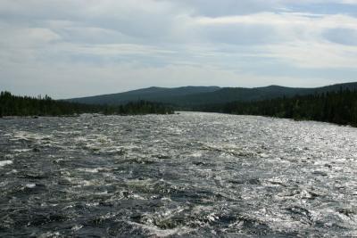 u37/dannyc/medium/32098819.IMG_3190.jpg