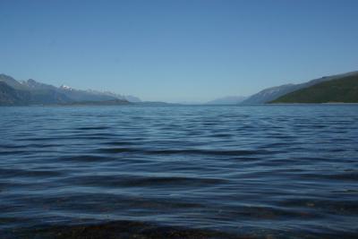 u37/dannyc/medium/32103308.IMG_3146.jpg