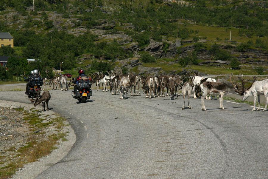 Nordic traffic jam