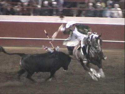 Thornton bullfights;   October, 2001