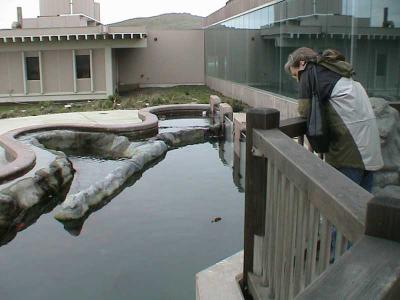 BML_pond1.jpg