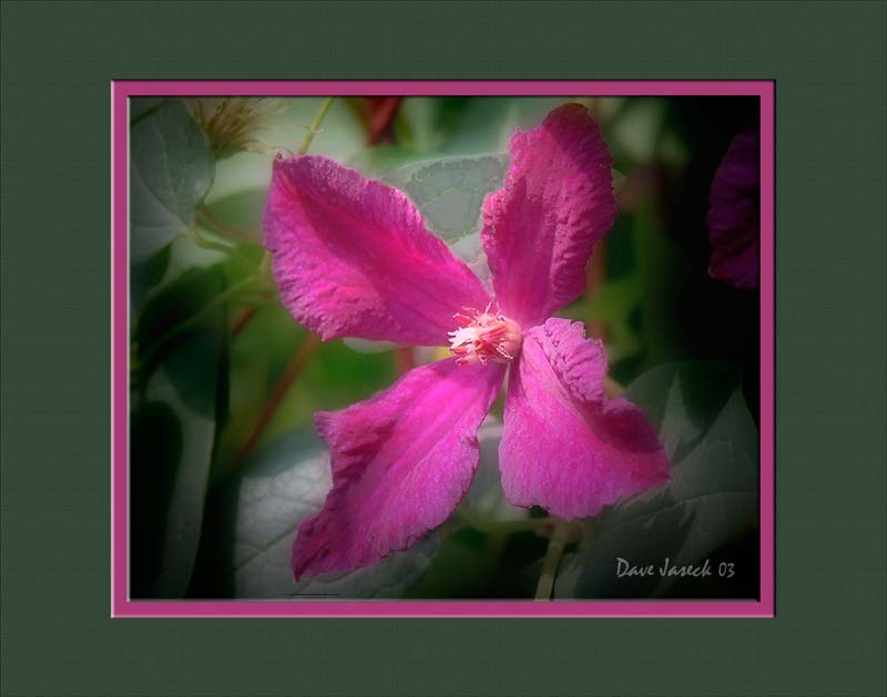 11X14-Matted-Sample.jpg