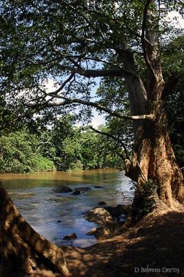 Lunch-at-River.jpg