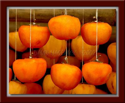 Drying Persimmons