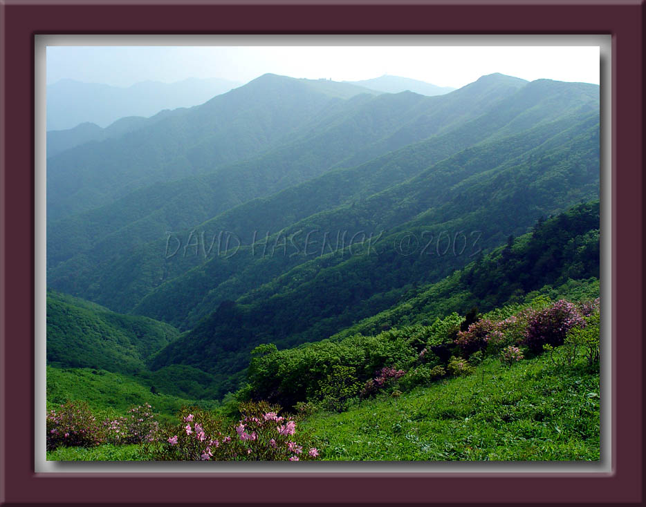 View from Birobong Peak