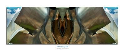 Mirrored EMP