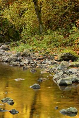 Tanner Creek-More Fall Liquid Gold-W.jpg