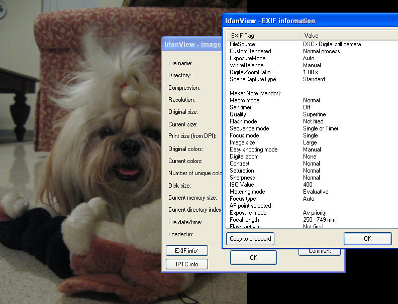 EXIF information showing ISO
