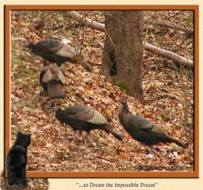 Turkeys in WV ~ Sunday, December 07, 2003