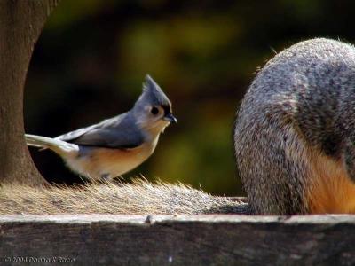 You're taking up the whole feeder!