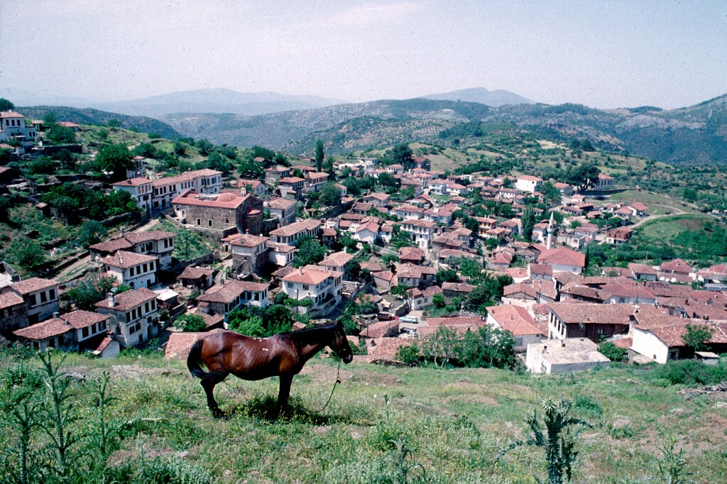 Selcuk Sirince