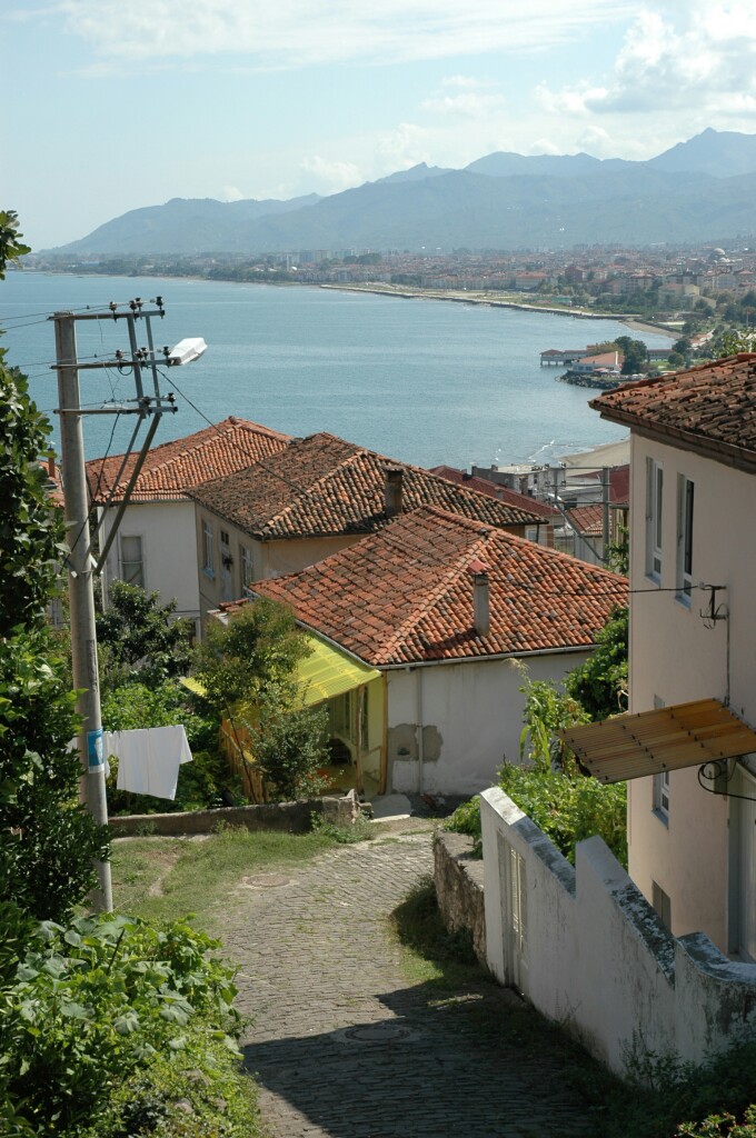 Ordu