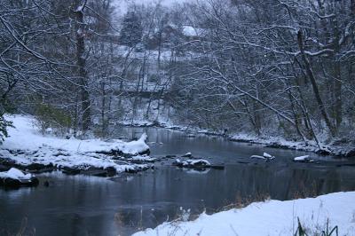 Beargrass Creek, Cherokee Park