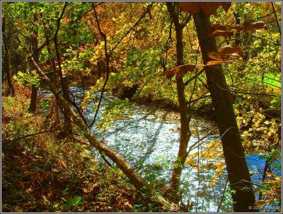 Trailside fall 2 pc.jpg