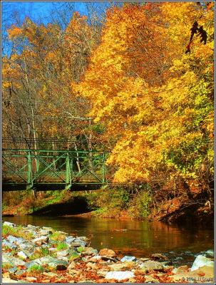 Trailside fall 15 pc.jpg