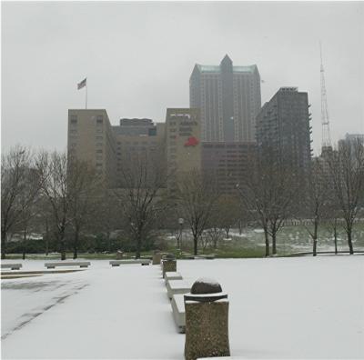 Snow-Adams MArk.jpg