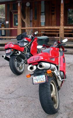 Ducs at the hitching post