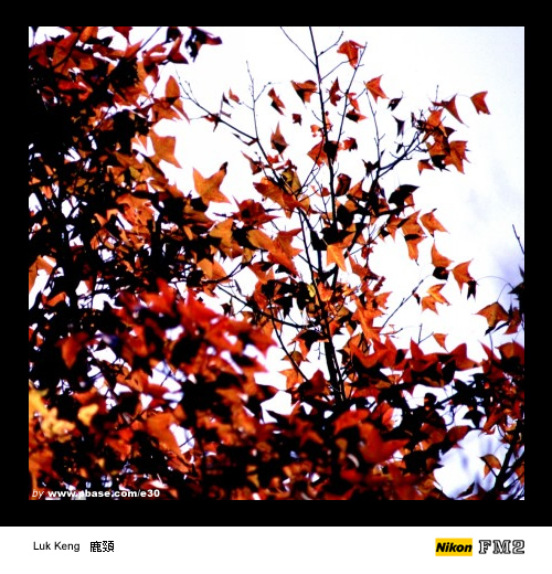 Luk Keng - 鹿頸