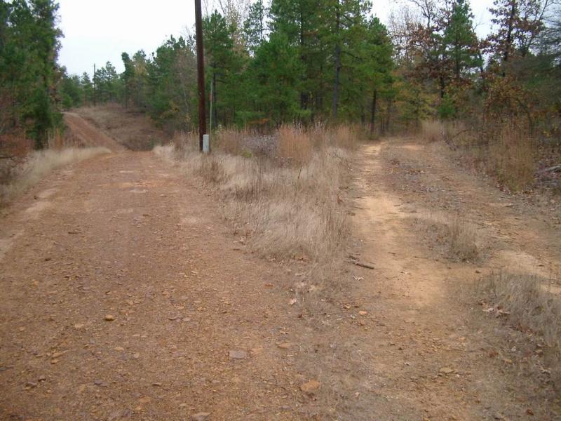 left, to main house - right, to kid row