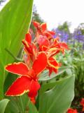 DSC01542.JPG