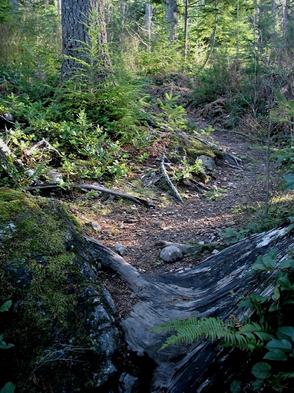 Cedar Butte Trail