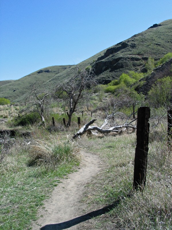 Trail and Old Fence Post with Shadow