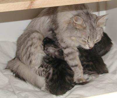 Almost 3 weeks old...