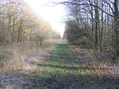 wandelen