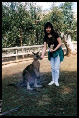 Posing with a kangaroo