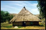 A typical Fijian house