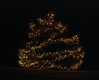 Our Christmas tree in the night