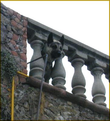 image015.jpg