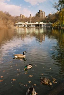 boathouse in central park